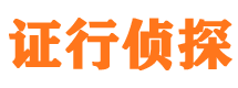 隆安市侦探